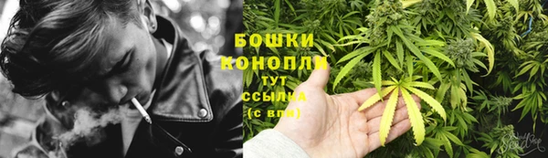 гидра Нея