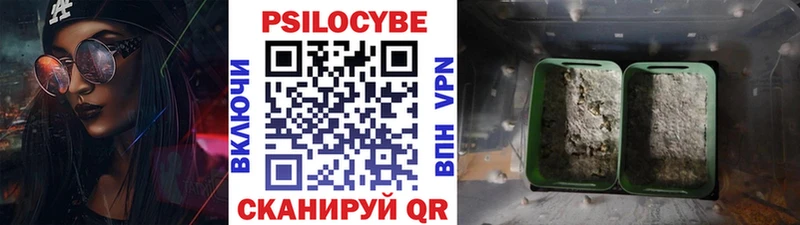 ссылка на мегу где найти Белёв Псилоцибиновые грибы мицелий